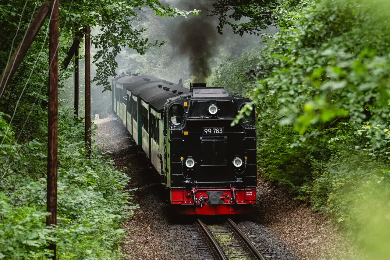 Een zwart met rode stoomlocomotief rijdt met donkere stoom door een groene omgeving.