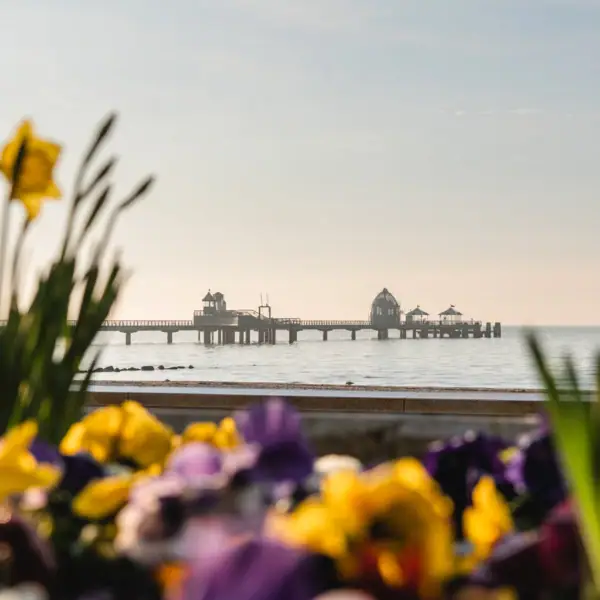 Een pier met een brug in het water onder de open hemel.