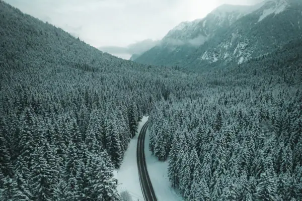 Besneeuwd landschap met een weg en bomen.
