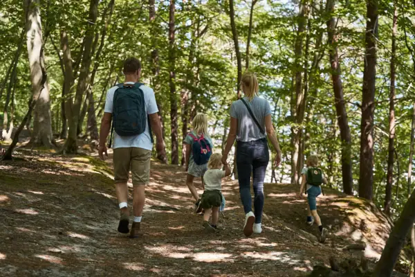 Wandelpad Een groep mensen wandelt in het bos.