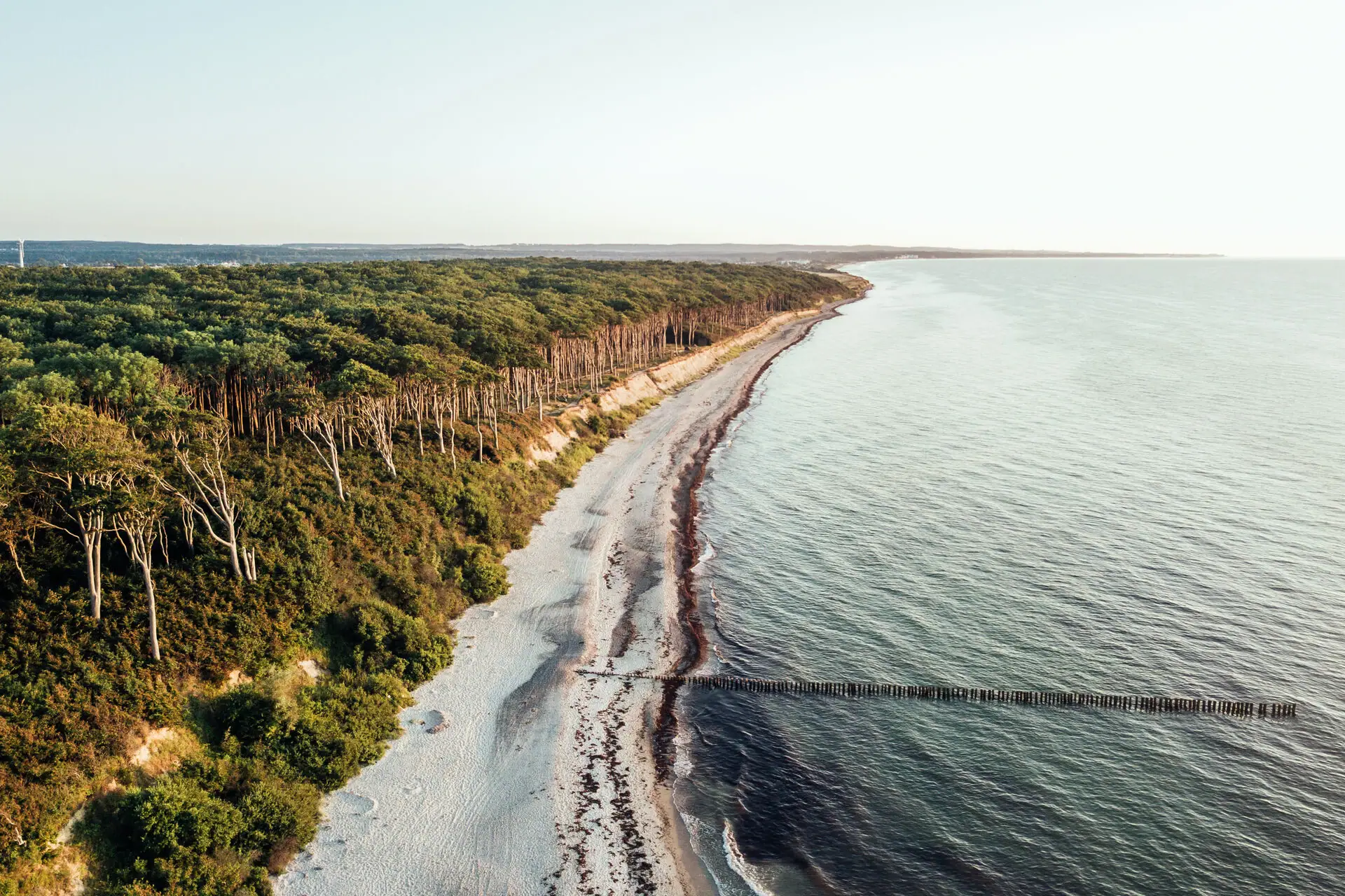 Strand en bos Strand met bomen en water op de voorgrond.